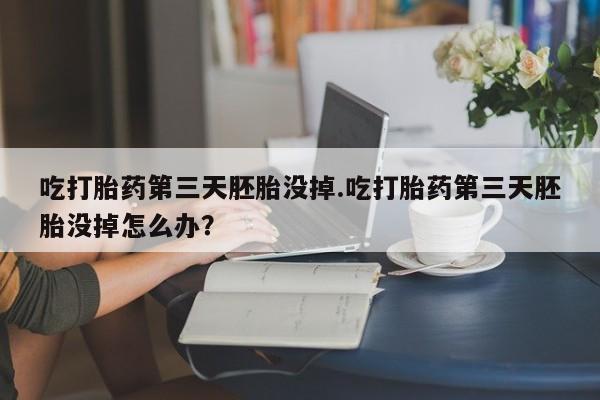 米非司酮片方旗舰店吃打胎药第三天胚胎没掉.吃打胎药第三天胚胎没掉怎么办？