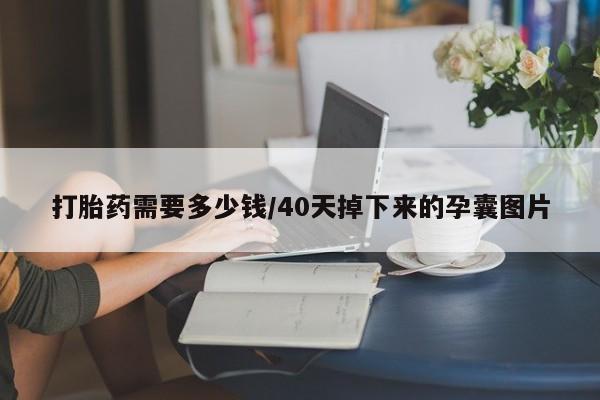 米非司酮片方旗舰店打胎药需要多少钱/40天掉下来的孕囊图片