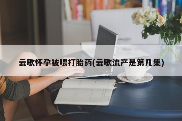 米非司酮片方旗舰店云歌怀孕被喂打胎药(云歌流产是第几集)